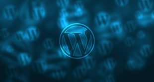 I 4 temi gratuiti più belli del 2020 per Wordpress